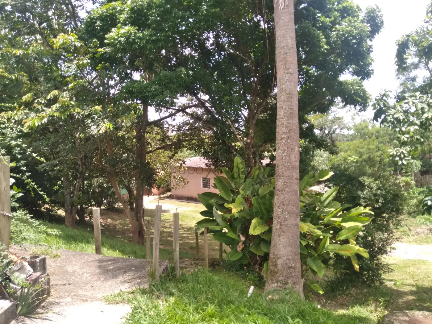 Foto 45 de Rural Chácara em Torrão de Ouro II, São José dos Campos - imagem 45