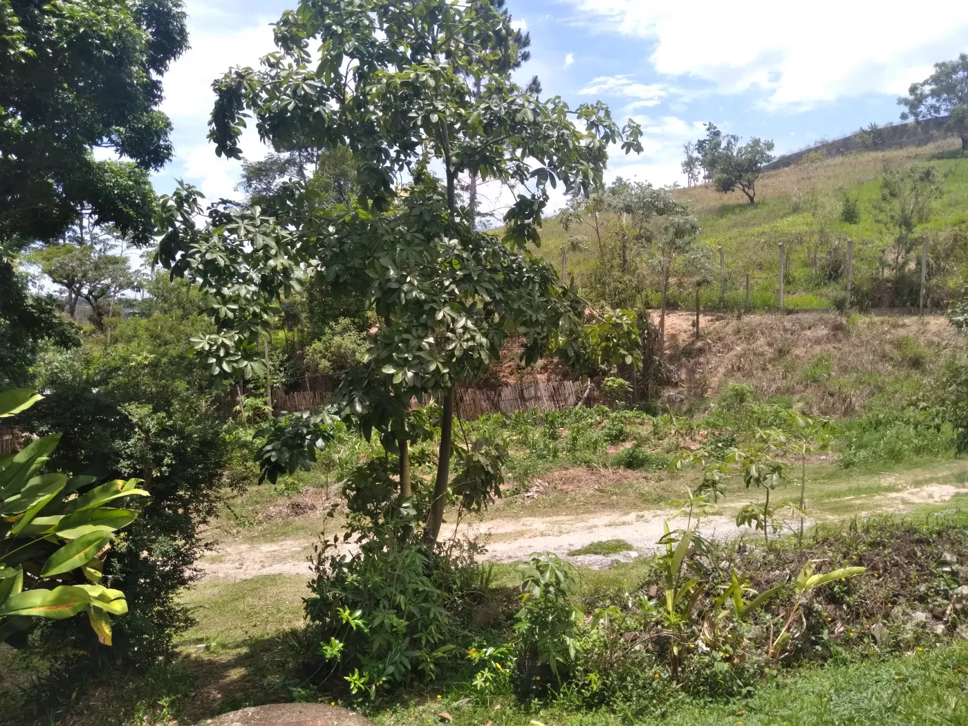 Foto 46 de Rural Chácara em Torrão de Ouro II, São José dos Campos - imagem 46