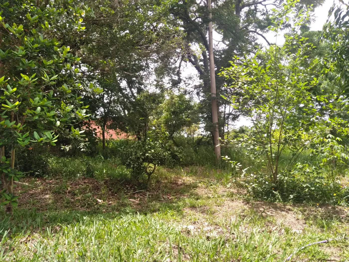 Foto 52 de Rural Chácara em Torrão de Ouro II, São José dos Campos - imagem 52