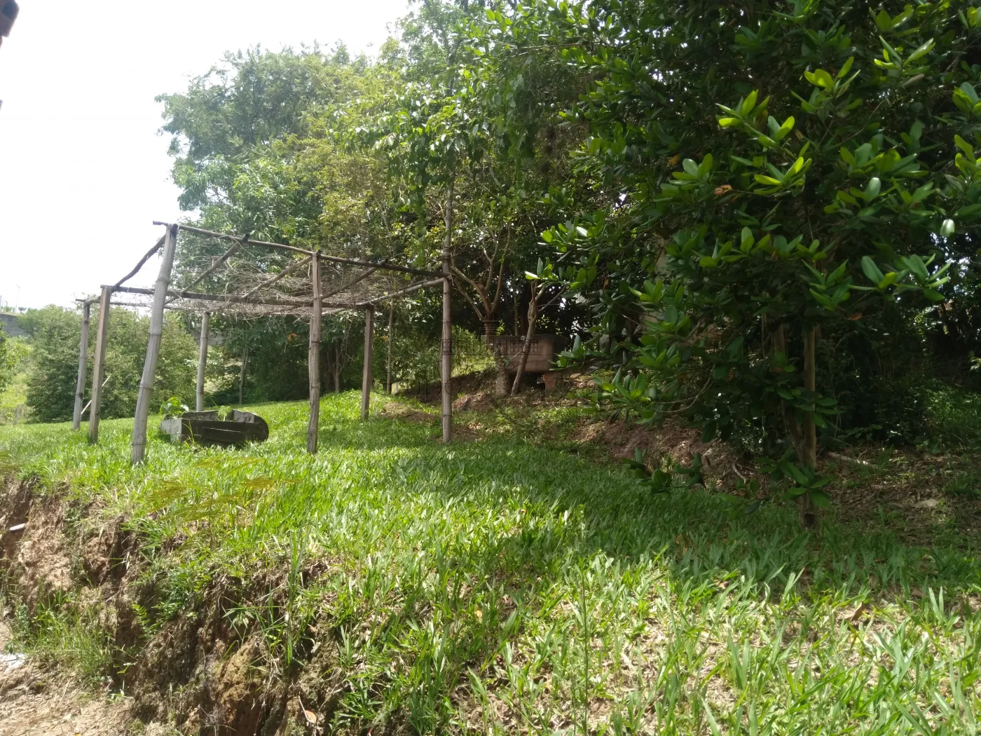 Foto 53 de Rural Chácara em Torrão de Ouro II, São José dos Campos - imagem 53