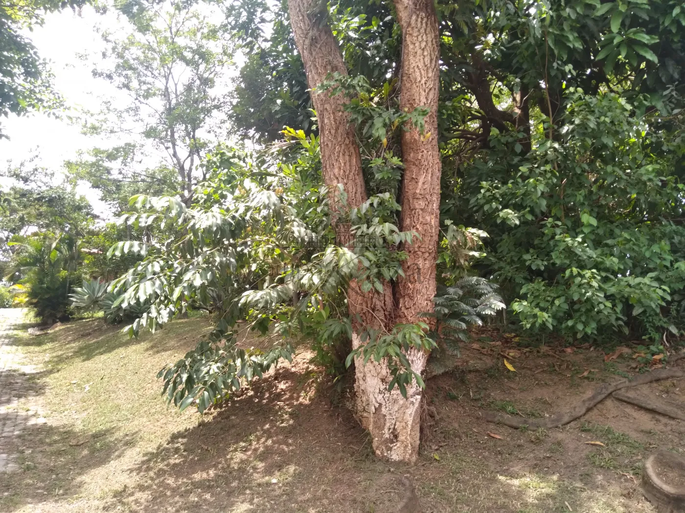 Foto 54 de Rural Chácara em Torrão de Ouro II, São José dos Campos - imagem 54