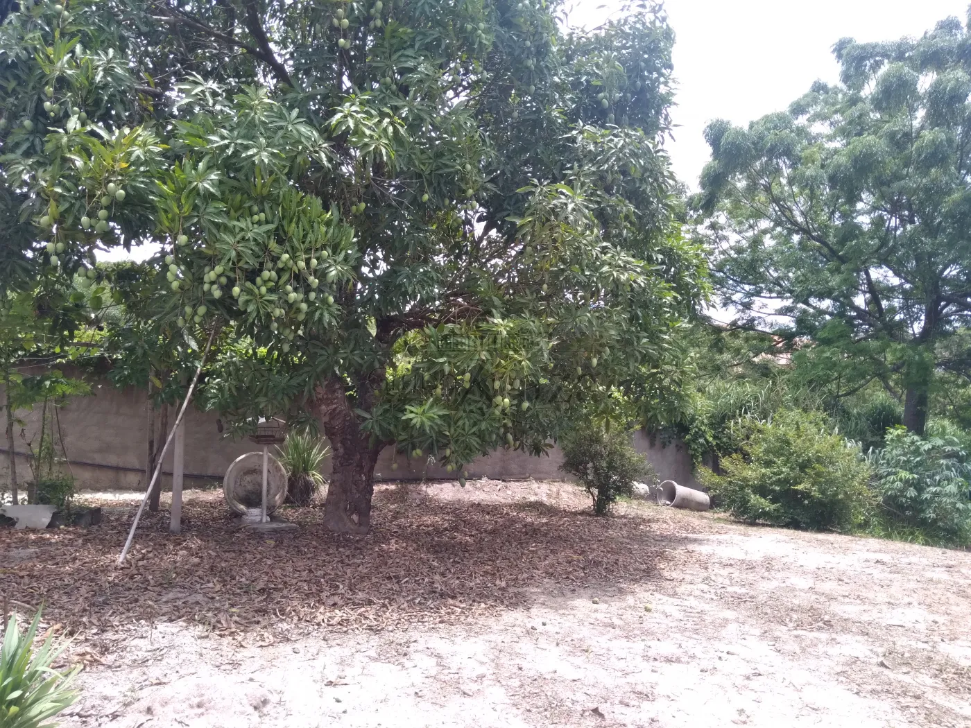 Foto 58 de Rural Chácara em Torrão de Ouro II, São José dos Campos - imagem 58