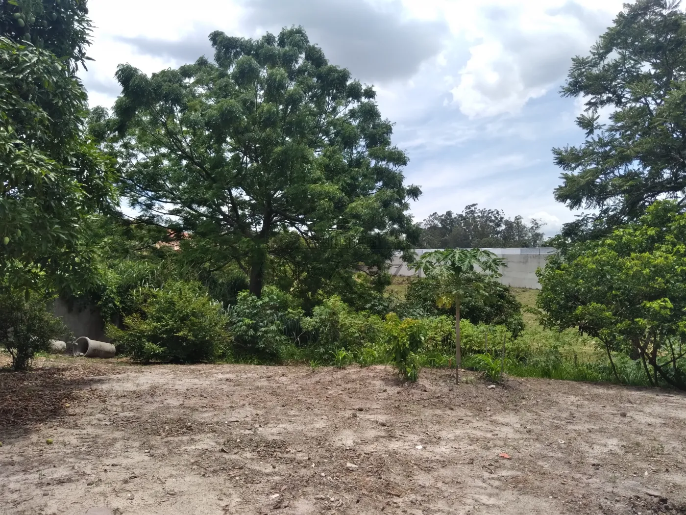 Foto 59 de Rural Chácara em Torrão de Ouro II, São José dos Campos - imagem 59