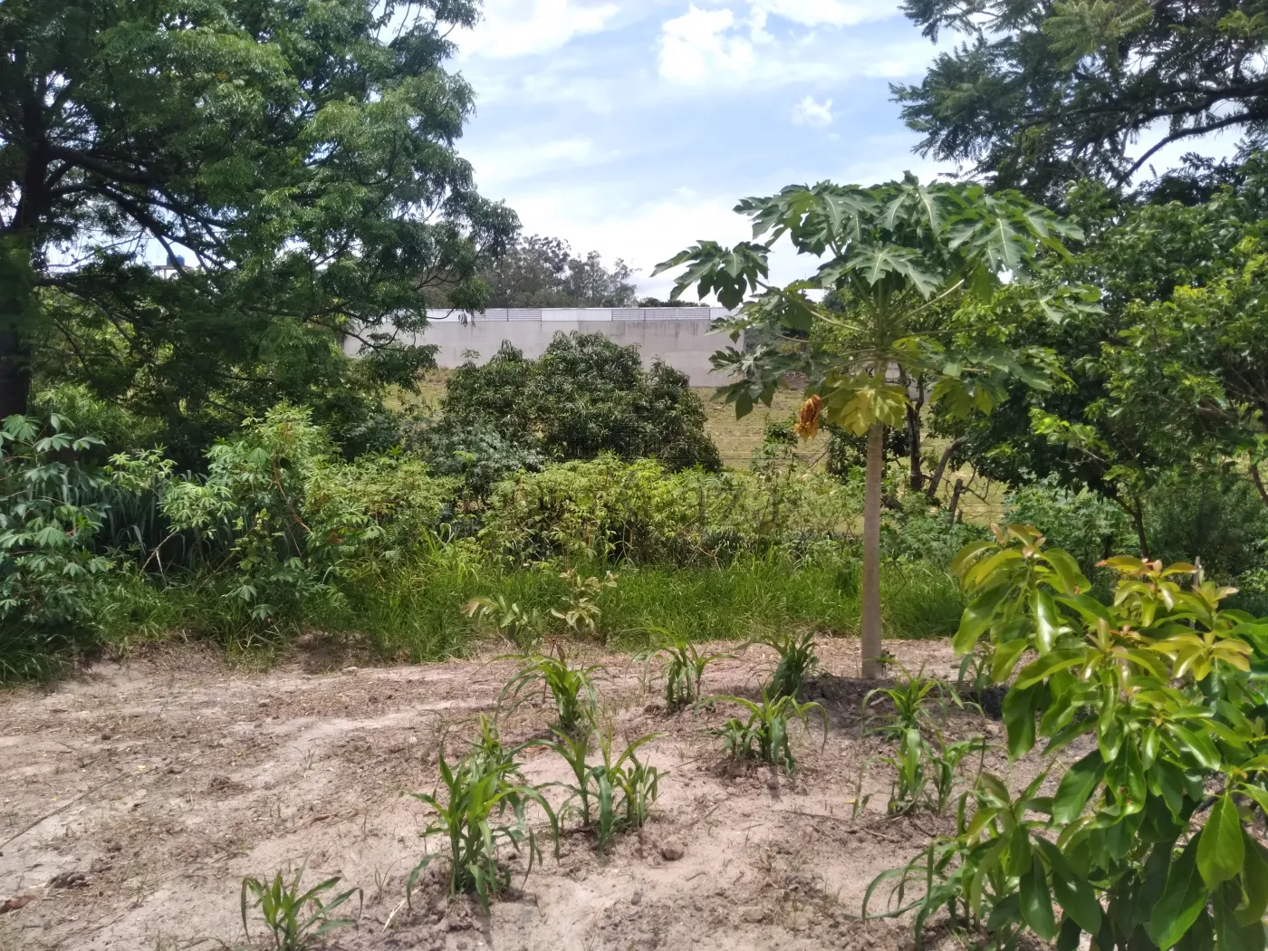 Foto 61 de Rural Chácara em Torrão de Ouro II, São José dos Campos - imagem 61