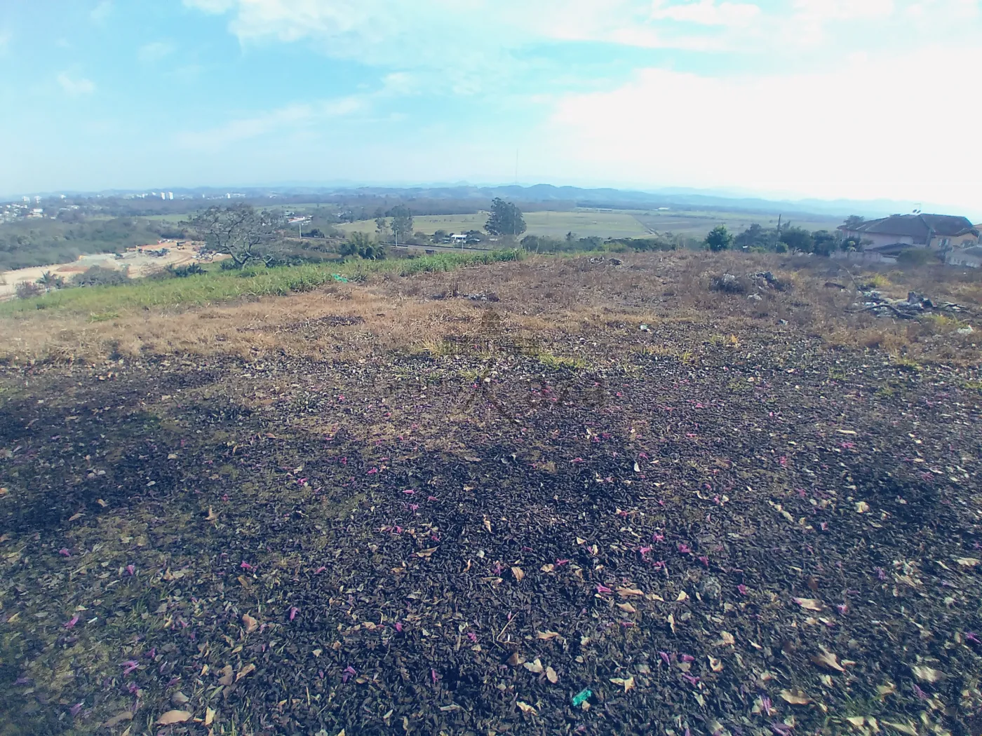 Foto 3 de Área ComercialResidencial em Loteamento Residencial Vista Linda, São José dos Campos - imagem 3 Foto 3 de Área ComercialResidencial em Loteamento Residencial Vista Linda, São José dos Campos - imagem 3