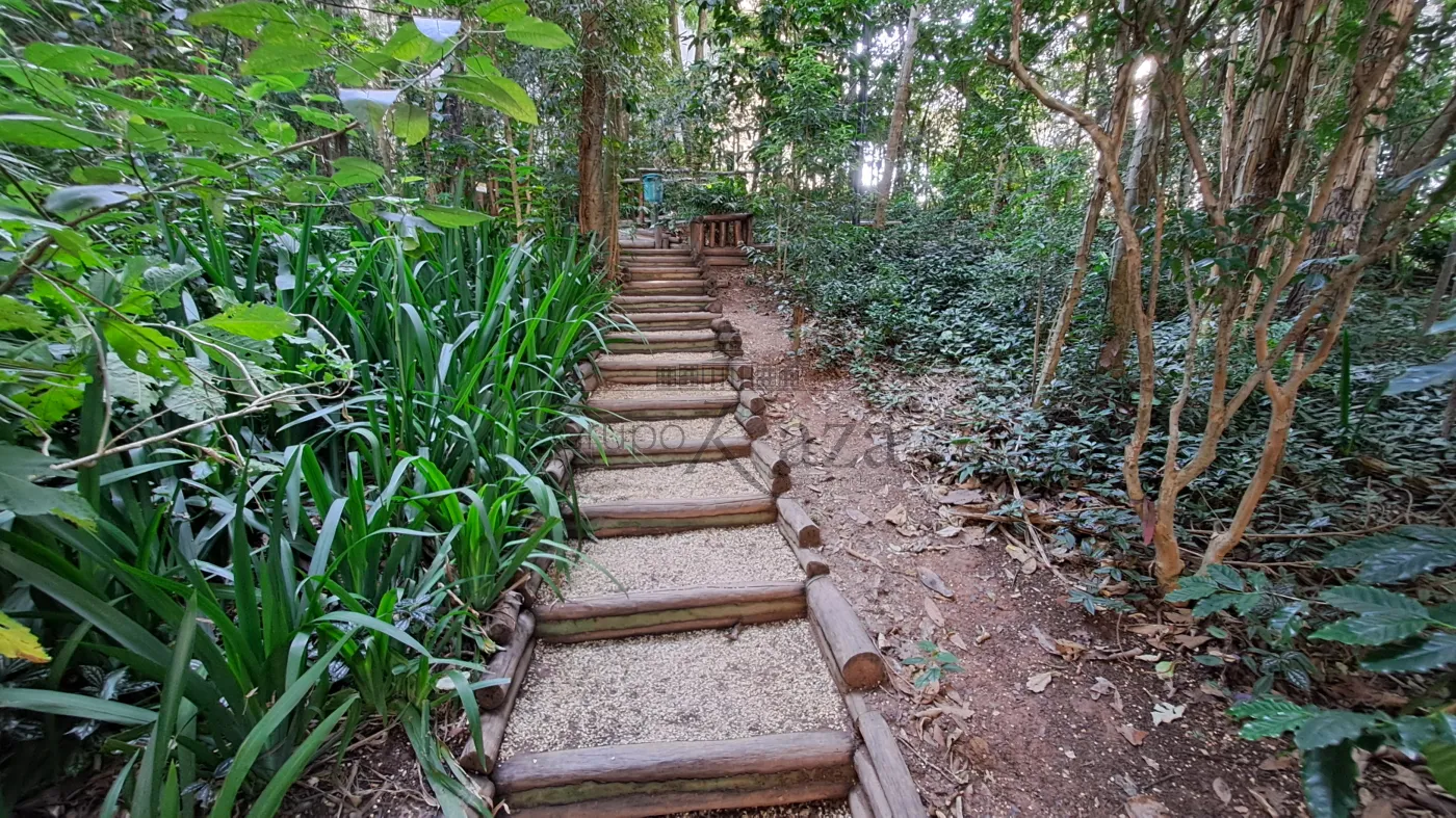 Foto 43 de Apartamento Padrão em Panamby, São Paulo - imagem 43