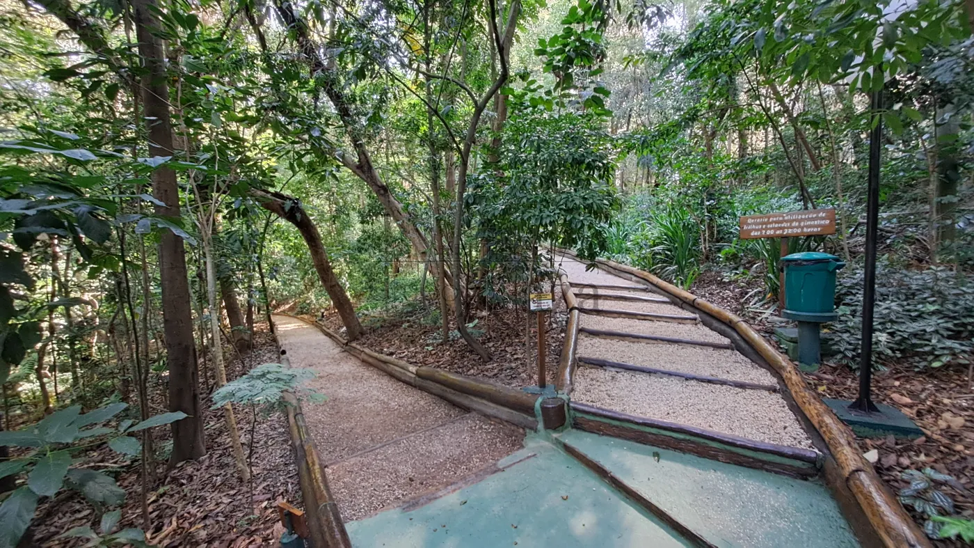 Foto 45 de Apartamento Padrão em Panamby, São Paulo - imagem 45