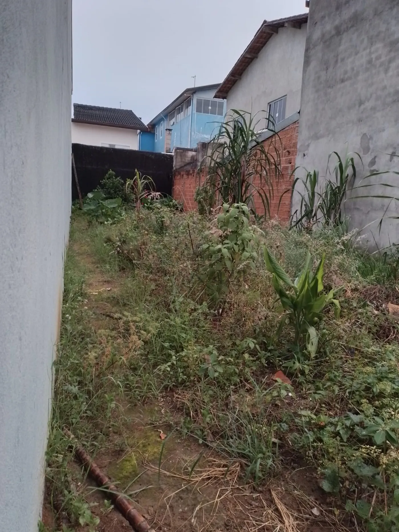 Foto 1 de Terreno Padrão em Residencial Bosque dos Ipês, São José dos Campos - imagem 1 Foto 1 de Terreno Padrão em Residencial Bosque dos Ipês, São José dos Campos - imagem 1