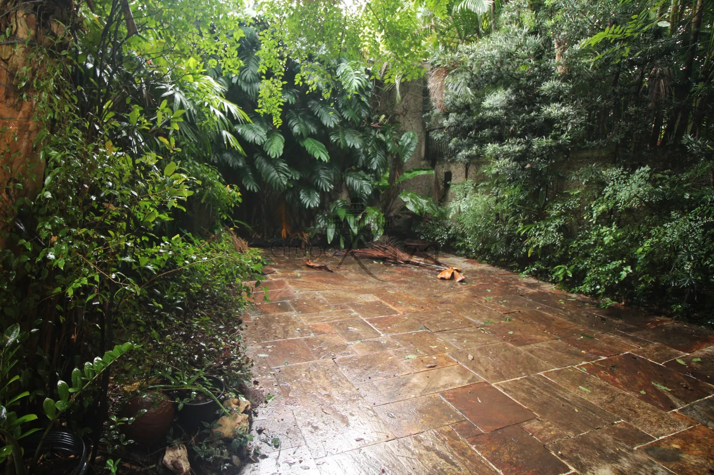 Foto 12 de Casa Padrão em Jardim Paulistano, São Paulo - imagem 12