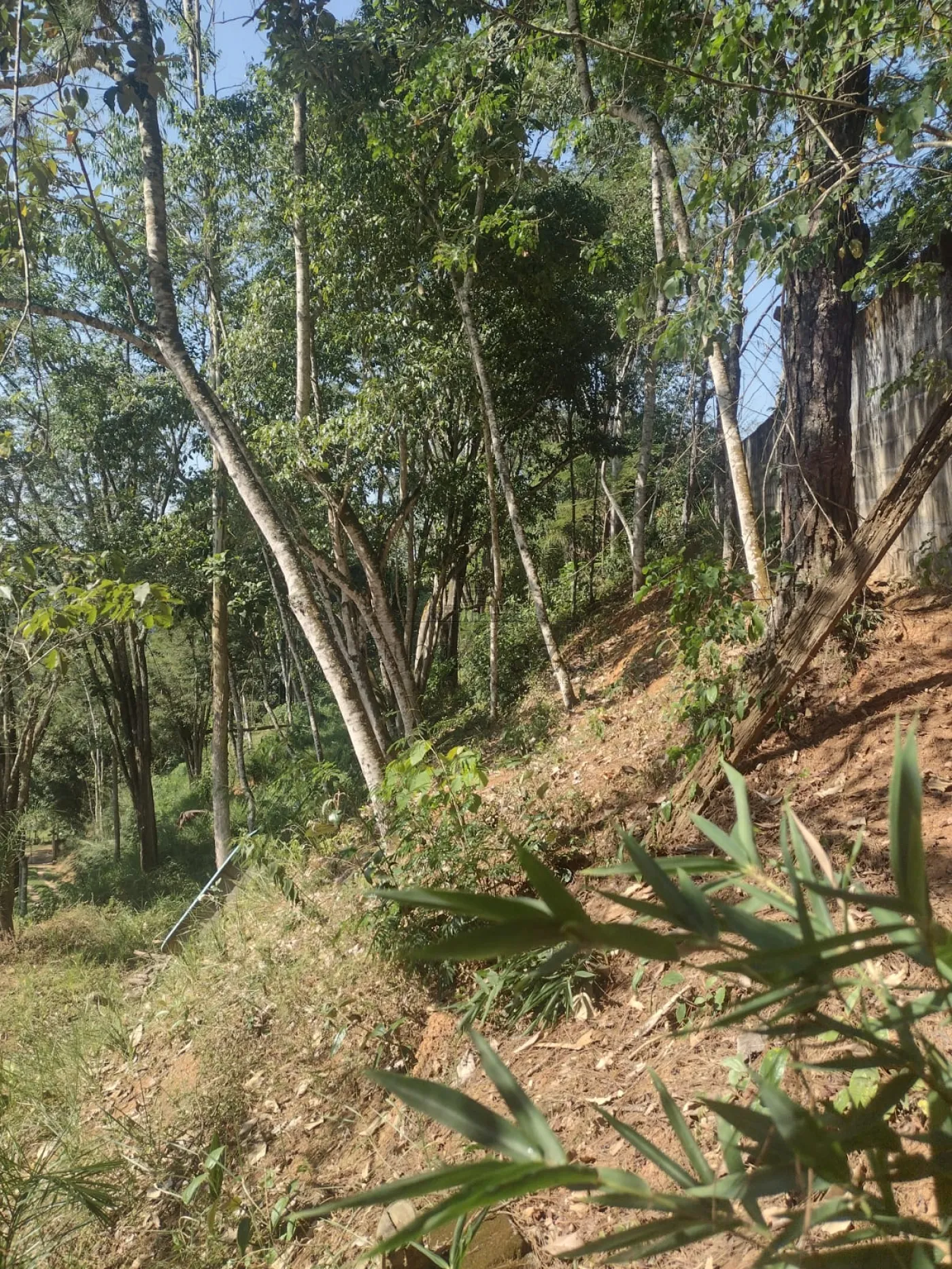 Foto 33 de Casa Condomínio em Condomínio Villagio Fazendão, São José dos Campos - imagem 33