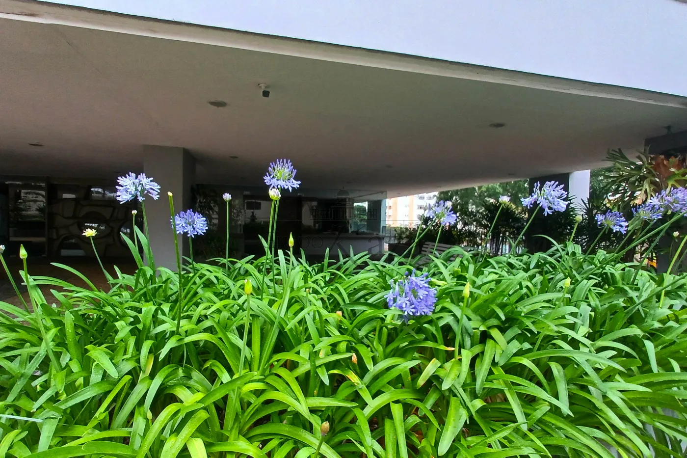 Foto 13 de Apartamento Padrão em Higienópolis, São Paulo - imagem 13