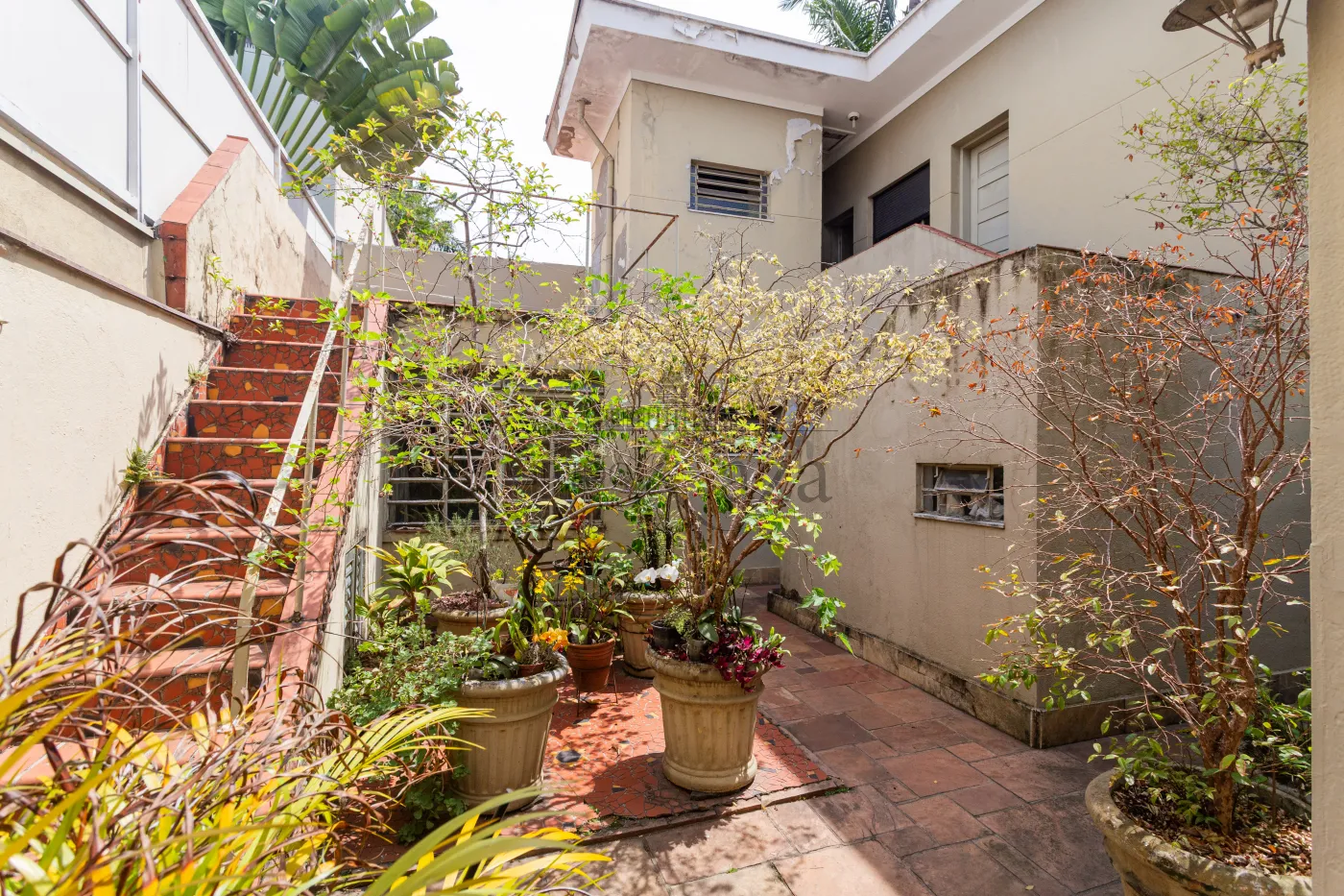 Foto 21 de Casa Padrão em Jardim Paulistano, São Paulo - imagem 21