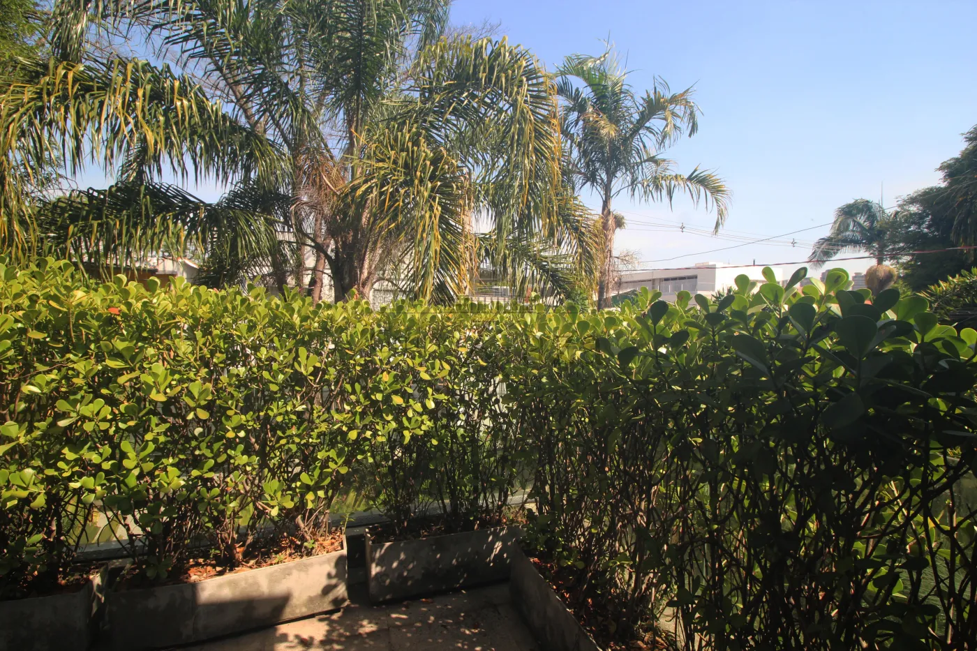 Foto 48 de Casa Padrão em Jardim Paulista, São Paulo - imagem 48