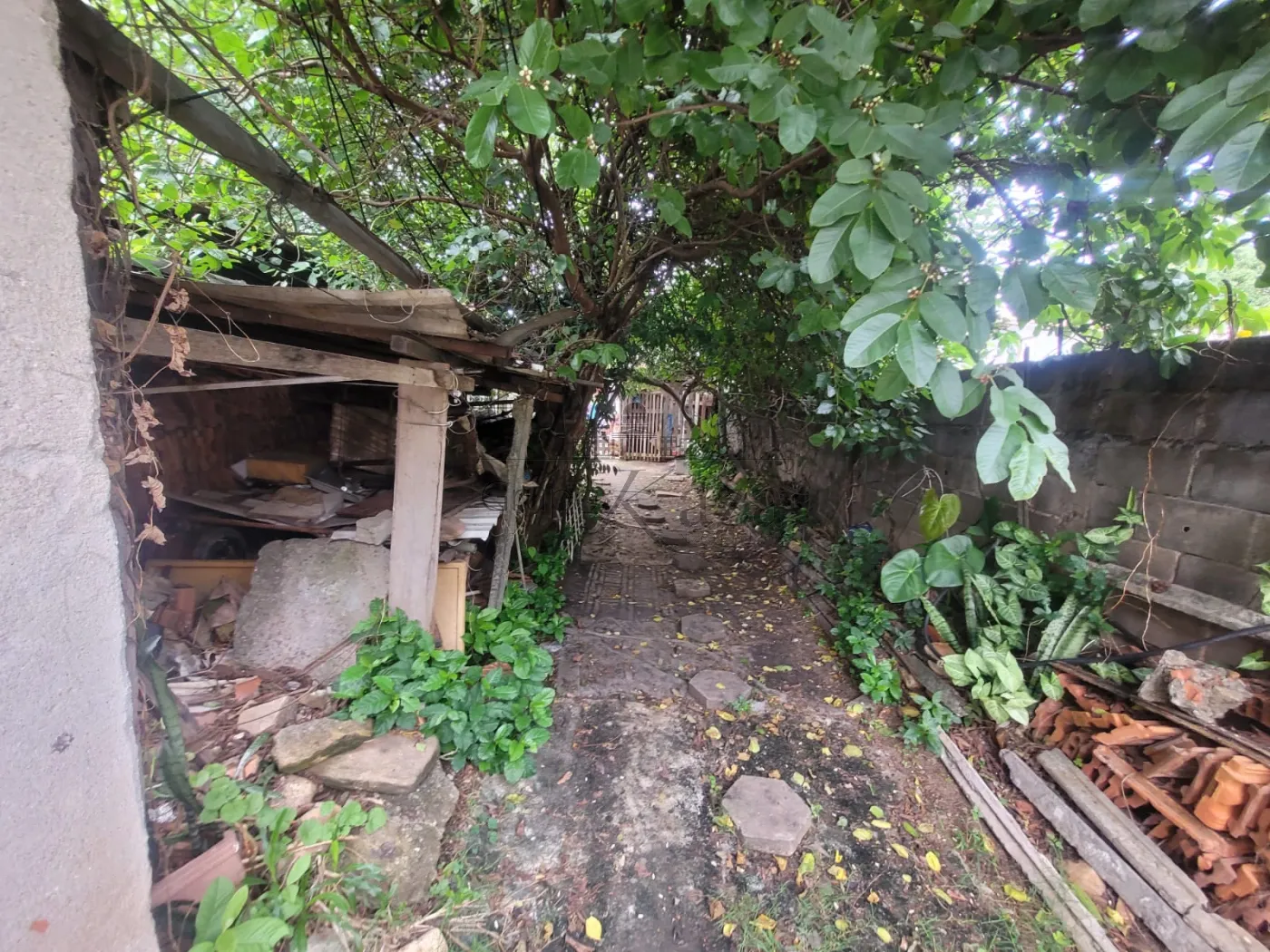 Foto 3 de Terreno Padrão em Jardim Paulista, São José dos Campos - imagem 3 Foto 3 de Terreno Padrão em Jardim Paulista, São José dos Campos - imagem 3