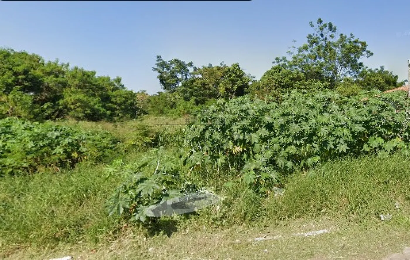 Foto 1 de Terreno Padrão em Parque Novo Horizonte, São José dos Campos - imagem 1