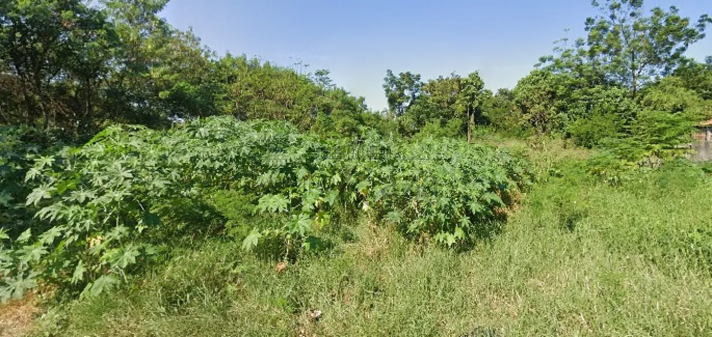 Foto 2 de Terreno Padrão em Parque Novo Horizonte, São José dos Campos - imagem 2