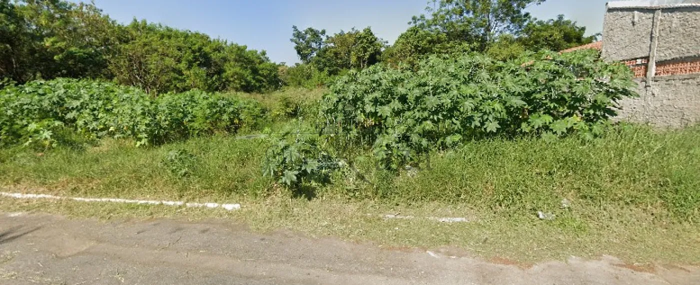 Foto 3 de Terreno Padrão em Parque Novo Horizonte, São José dos Campos - imagem 3