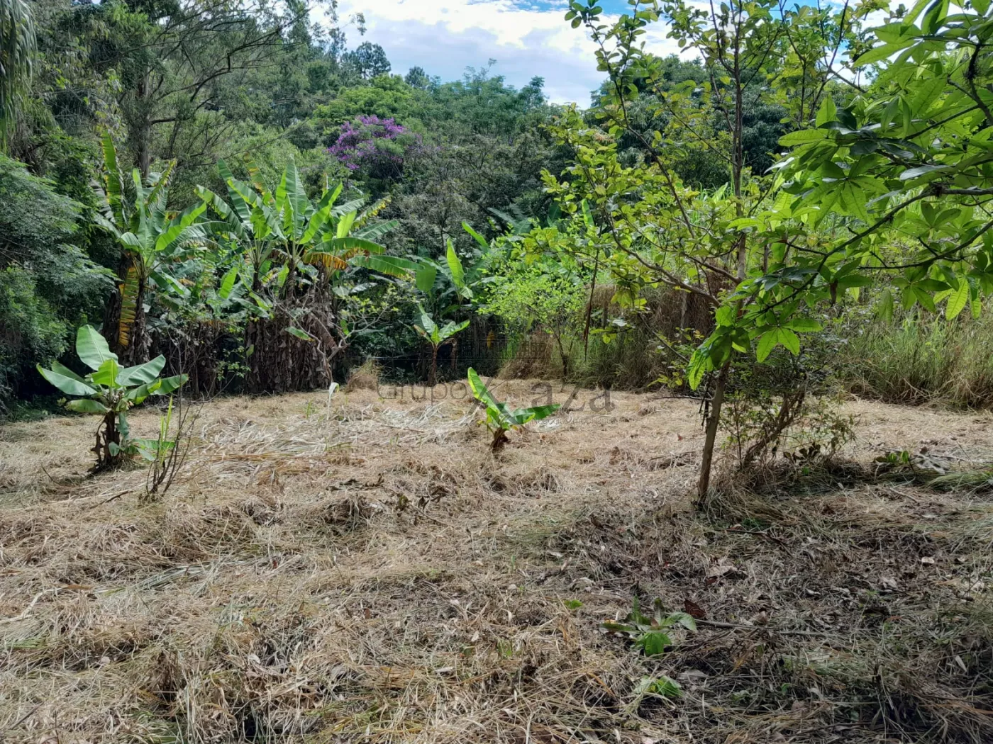 Foto 3 de Rural Chácara em Veraneio Ijal, Jacareí - imagem 3 Foto 3 de Rural Chácara em Veraneio Ijal, Jacareí - imagem 3