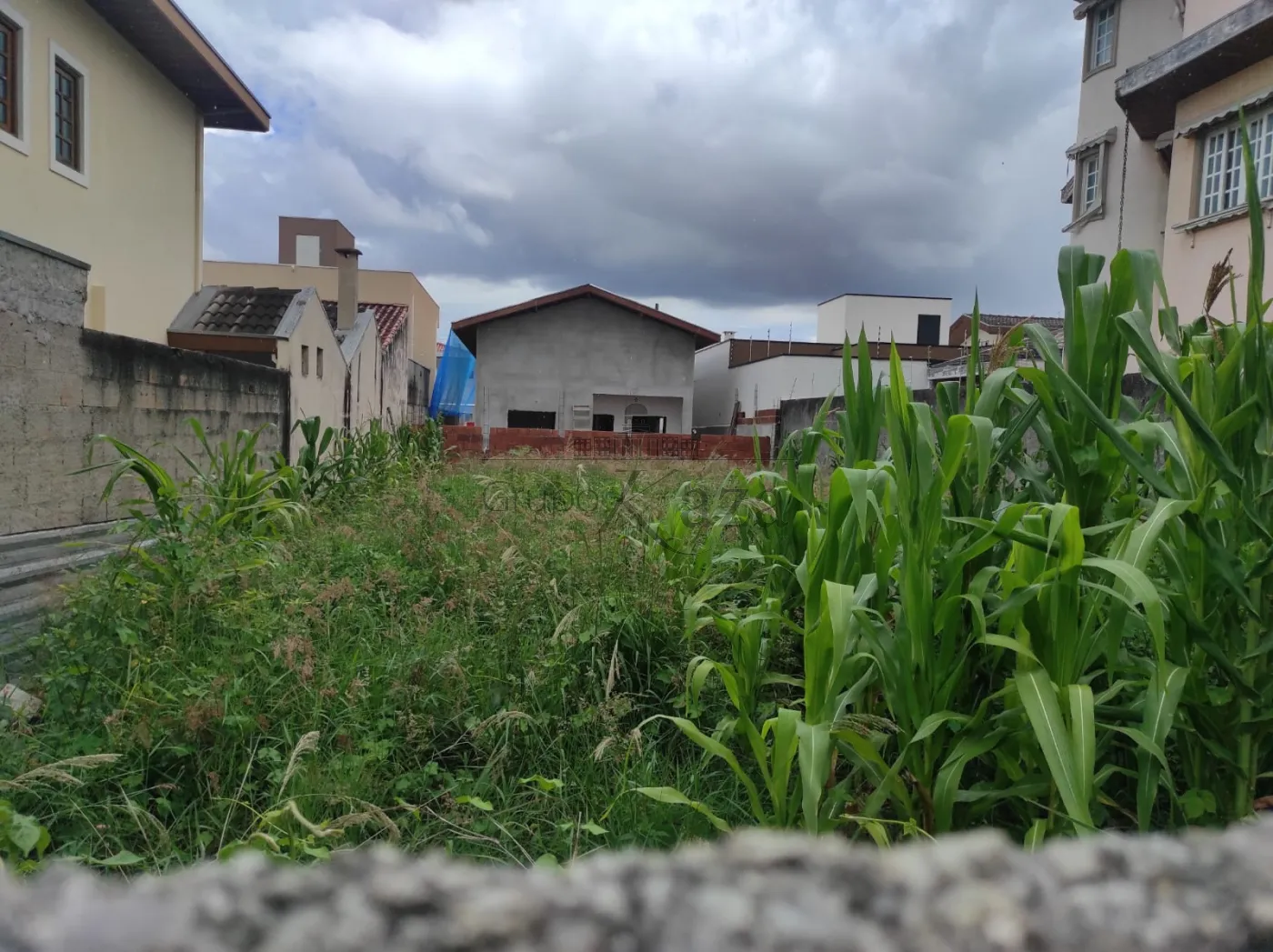 Foto 2 de Terreno Padrão em Loteamento Villa Branca, Jacareí - imagem 2 Foto 2 de Terreno Padrão em Loteamento Villa Branca, Jacareí - imagem 2