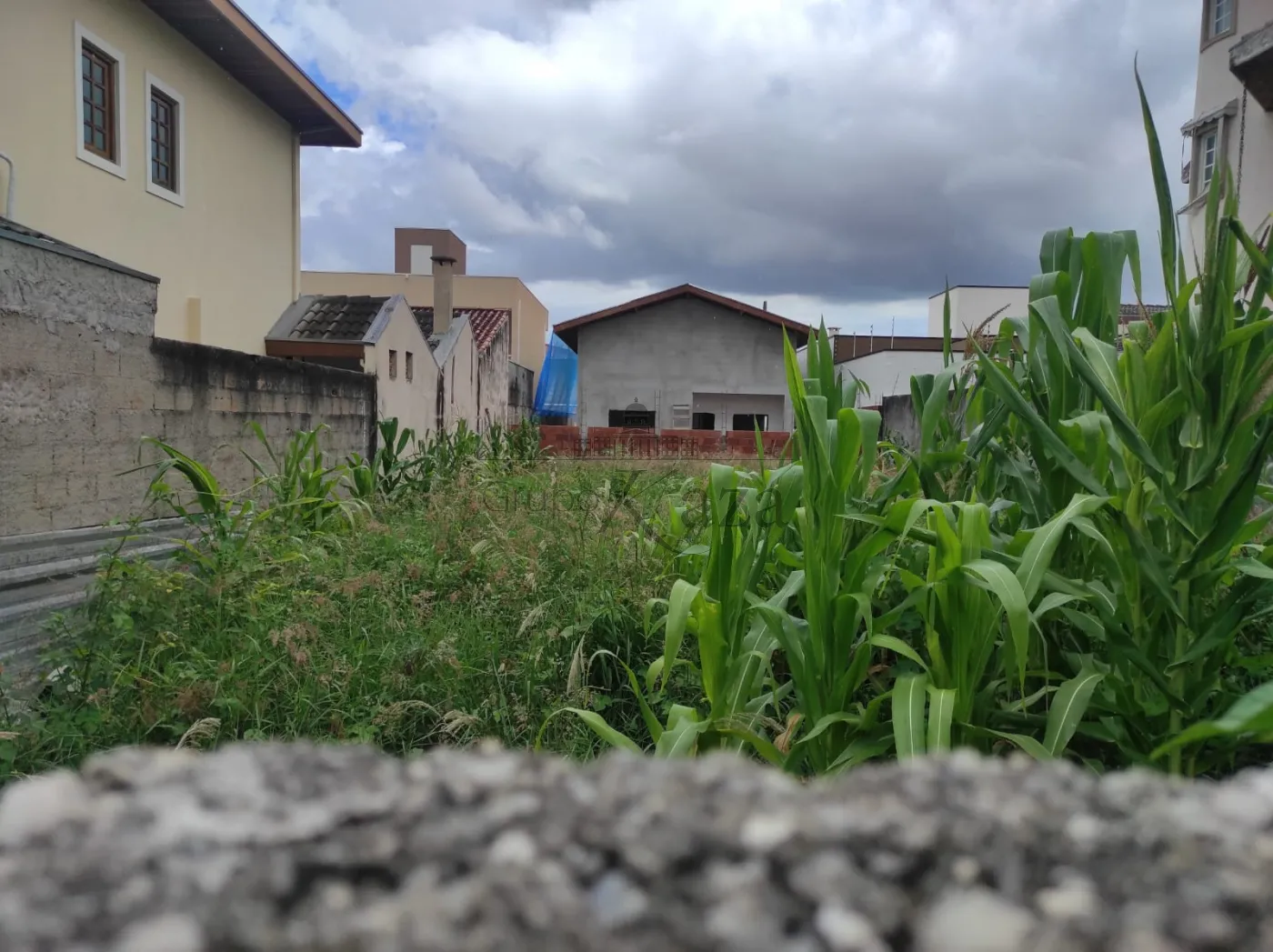 Foto 1 de Terreno Padrão em Loteamento Villa Branca, Jacareí - imagem 1 Foto 1 de Terreno Padrão em Loteamento Villa Branca, Jacareí - imagem 1