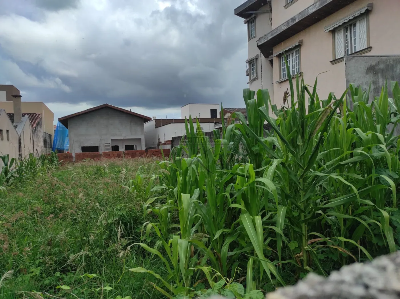 Foto 3 de Terreno Padrão em Loteamento Villa Branca, Jacareí - imagem 3 Foto 3 de Terreno Padrão em Loteamento Villa Branca, Jacareí - imagem 3