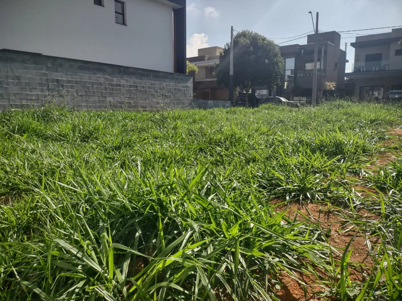 Foto 2 de Terreno Condomínio em Bairro da Floresta, São José dos Campos - imagem 2 Foto 2 de Terreno Condomínio em Bairro da Floresta, São José dos Campos - imagem 2