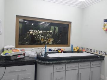 Sao Jose dos Campos Vila Betania Estabelecimento Venda R$2.350.000,00 9 Dormitorios 6 Vagas Area do terreno 320.00m2 Area construida 580.00m2