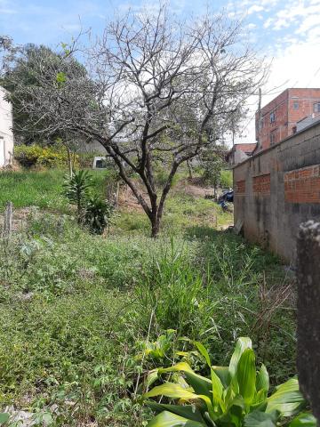 Sao Jose dos Campos Jardim Santa Herminia Terreno Venda R$80.000,00  Area do terreno 125.00m2 