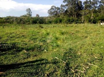 Sao Jose dos Campos Bairro da Pernambucana Terreno Venda R$225.000,00  4 Vagas Area do terreno 3000.00m2 