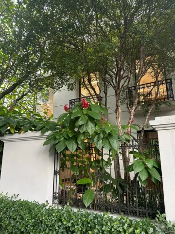 Sao Paulo Jardim Paulistano Comercial Venda R$5.500.000,00 3 Dormitorios 2 Vagas Area do terreno 285.00m2 Area construida 323.40m2