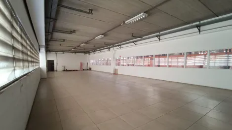 Sao Jose dos Campos Palmeiras de Sao Jose Salao Locacao R$ 29.000,00  Area do terreno 465.00m2 Area construida 278.50m2