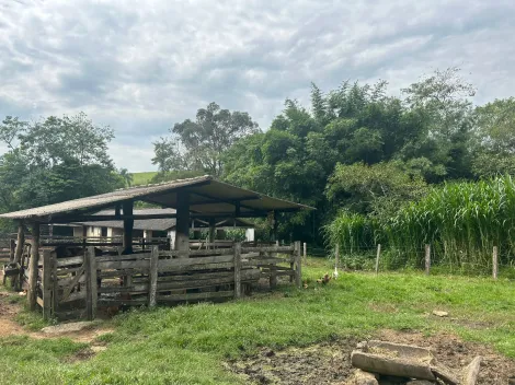 Sao Jose dos Campos Bairro da Pernambucana Rural Venda R$20.000.000,00 2 Dormitorios 4 Vagas Area do terreno 1764493.57m2 