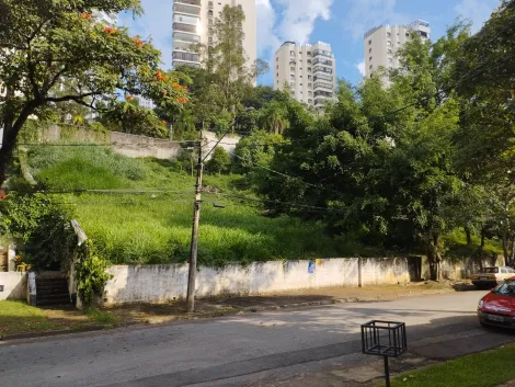 Sao Paulo Paineiras do Morumbi Terreno Venda R$2.700.000,00  Area do terreno 888.00m2 