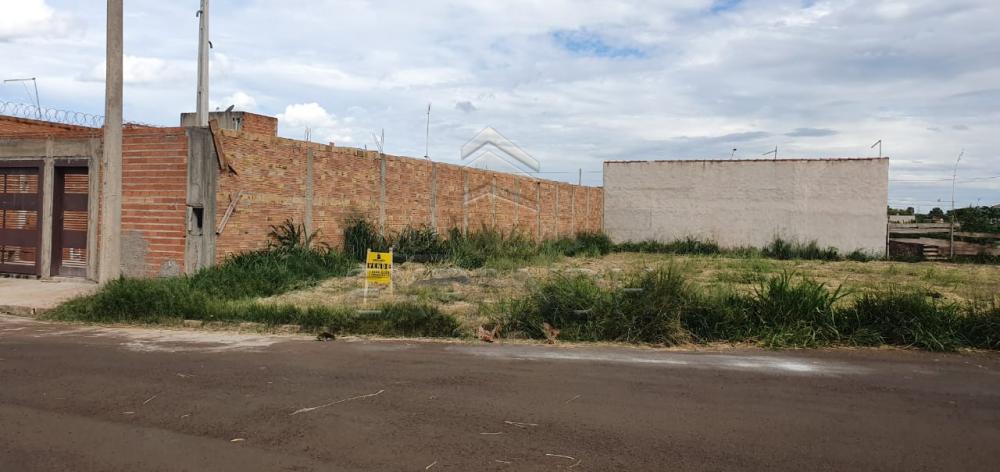 Alugar Casa Nova / Padr&atilde;o em Prad&oacute;polis R$ 100.000,00 - Foto 1