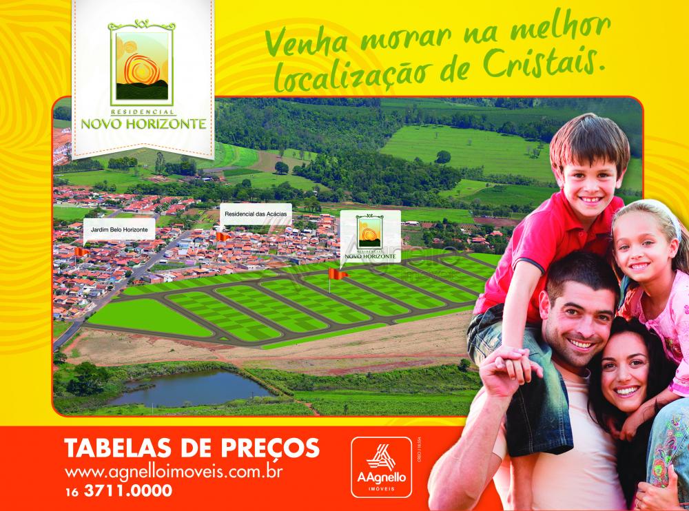 Comprar Terreno / Loteamento em Cristais Paulista R$ 110.000,00 - Foto 2