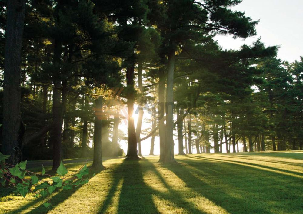 Comprar Casa / Condom&iacute;nio em Franca R$ 4.200.000,00 - Foto 29