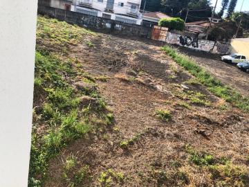 Franca Vila Champagnat Terreno Venda R$1.500.000,00  Area do terreno 680.00m2 
