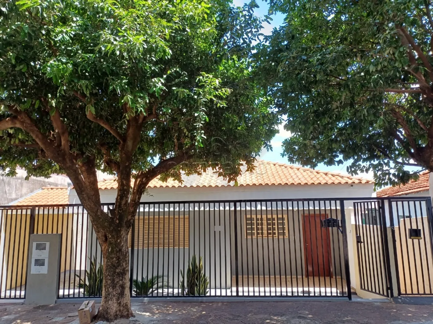 Alugar Casa / Padr&atilde;o em S&atilde;o Jos&eacute; do Rio Preto R$ 1.590,00 - Foto 1