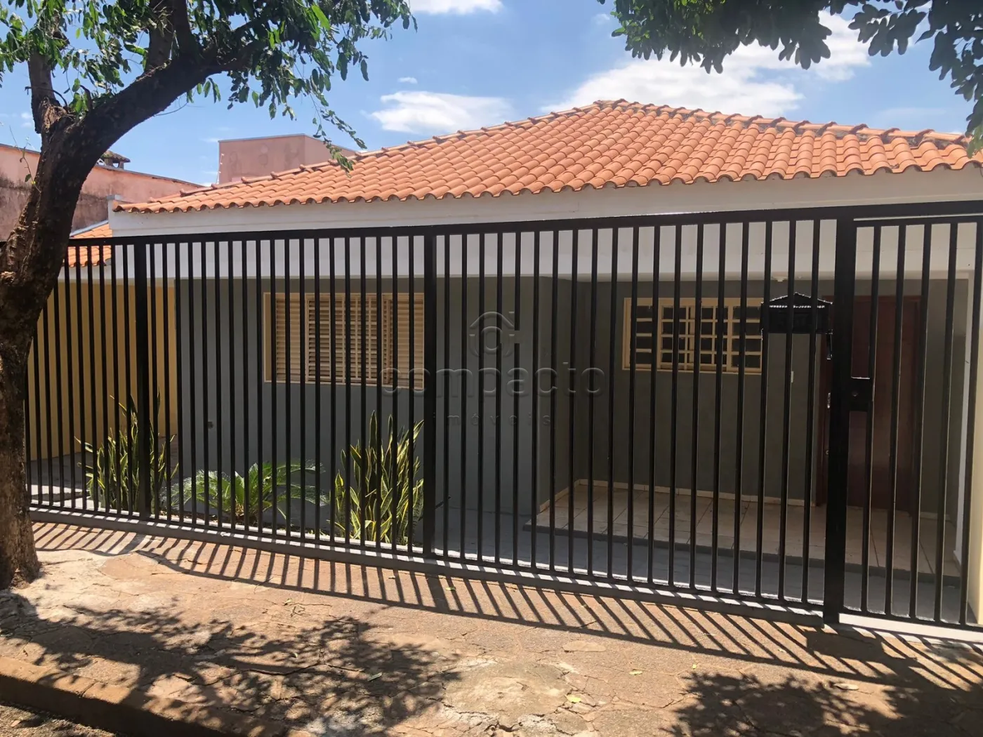 Alugar Casa / Padr&atilde;o em S&atilde;o Jos&eacute; do Rio Preto R$ 1.590,00 - Foto 3