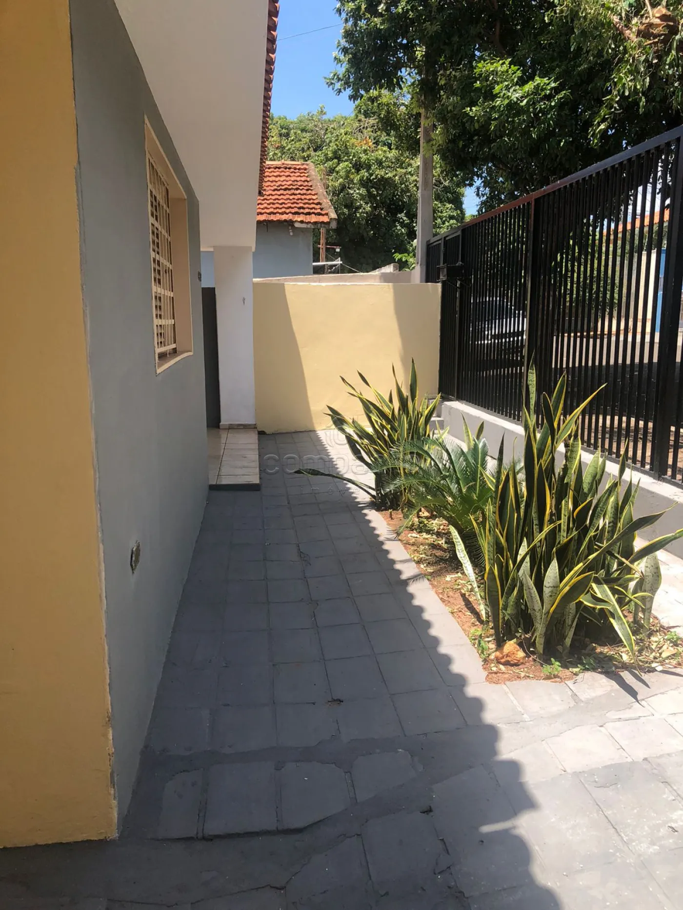 Alugar Casa / Padr&atilde;o em S&atilde;o Jos&eacute; do Rio Preto R$ 1.590,00 - Foto 4