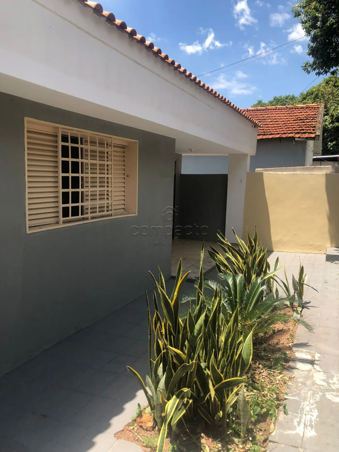 Alugar Casa / Padr&atilde;o em S&atilde;o Jos&eacute; do Rio Preto R$ 1.590,00 - Foto 6