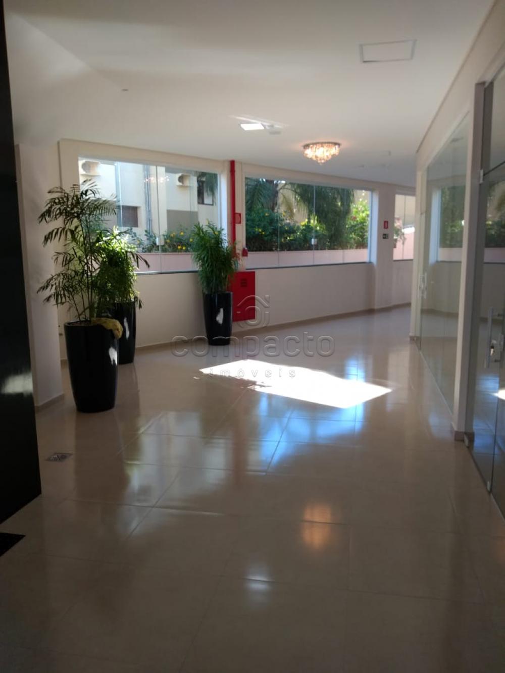 Alugar Comercial / SalaLoja Condom&iacute;nio em S&atilde;o Jos&eacute; do Rio Preto R$ 1.450,00 - Foto 3