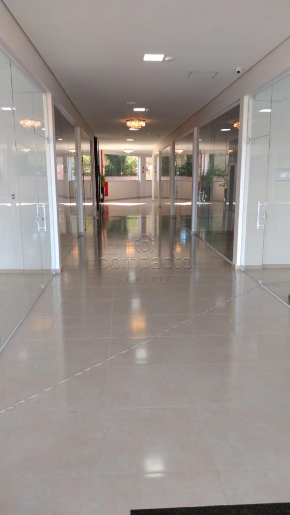 Alugar Comercial / SalaLoja Condom&iacute;nio em S&atilde;o Jos&eacute; do Rio Preto R$ 1.450,00 - Foto 5