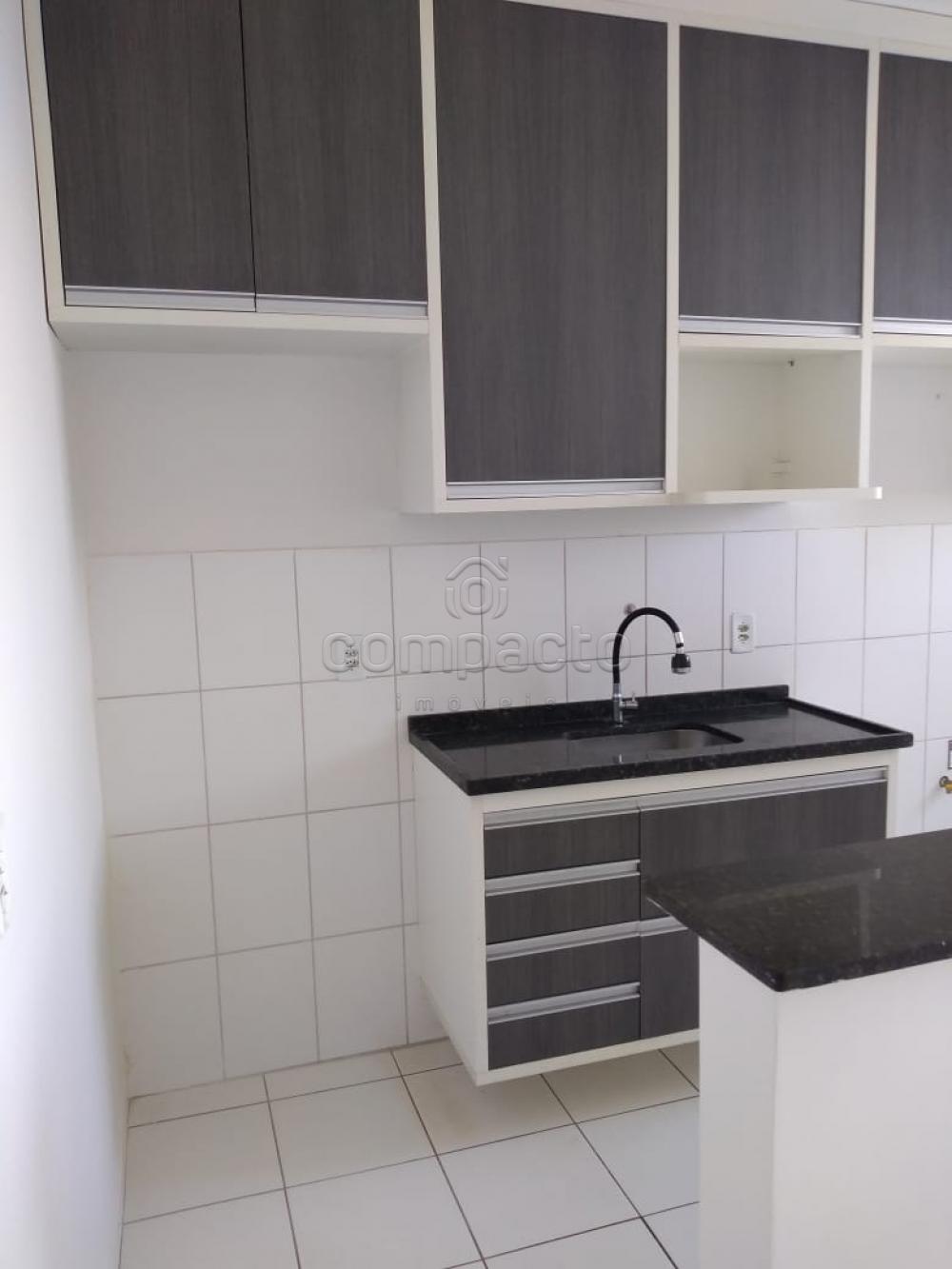Alugar Apartamento / Padr&atilde;o em S&atilde;o Jos&eacute; do Rio Preto R$ 850,00 - Foto 1