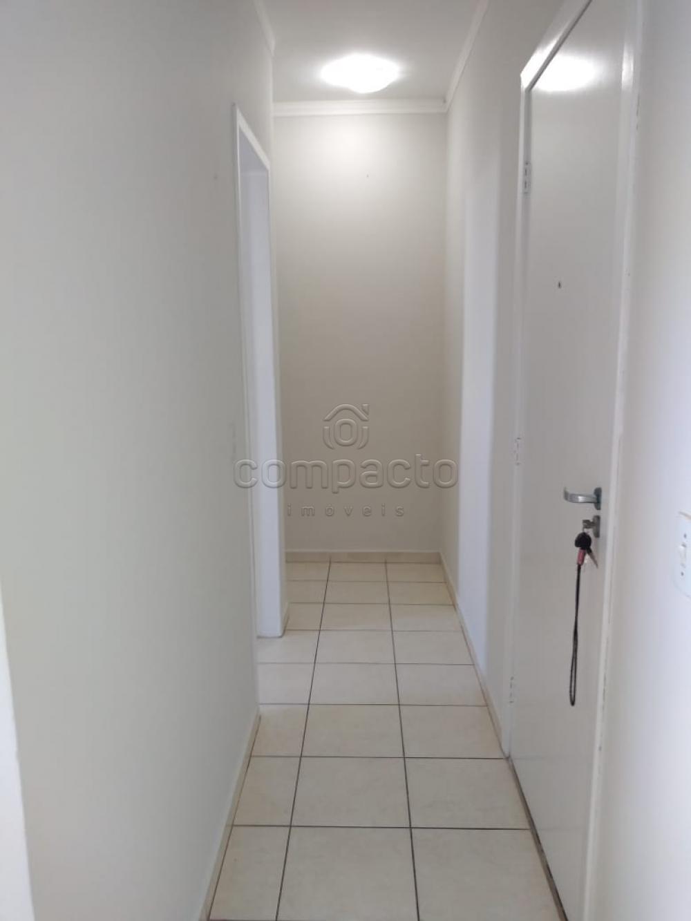 Alugar Apartamento / Padr&atilde;o em S&atilde;o Jos&eacute; do Rio Preto R$ 850,00 - Foto 5