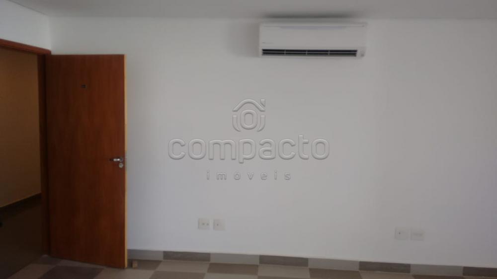 Alugar Comercial / SalaLoja Condom&iacute;nio em S&atilde;o Jos&eacute; do Rio Preto R$ 1.600,00 - Foto 4