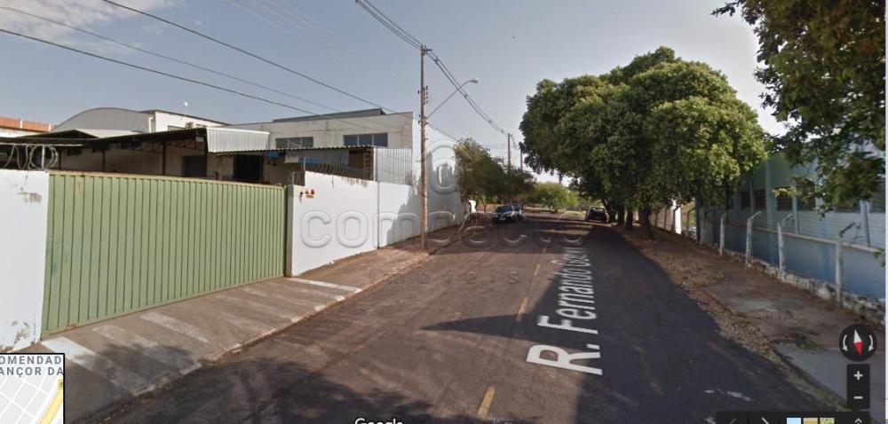 Alugar Comercial / Barrac&atilde;o em S&atilde;o Jos&eacute; do Rio Preto R$ 40.000,00 - Foto 3