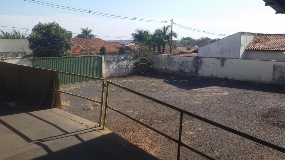 Alugar Comercial / Barrac&atilde;o em S&atilde;o Jos&eacute; do Rio Preto R$ 40.000,00 - Foto 4
