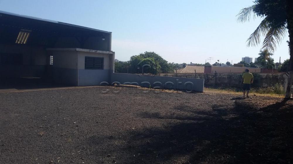Alugar Comercial / Barrac&atilde;o em S&atilde;o Jos&eacute; do Rio Preto R$ 40.000,00 - Foto 6