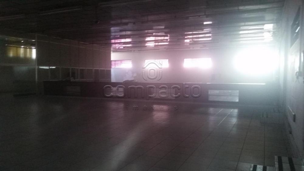 Alugar Comercial / Barrac&atilde;o em S&atilde;o Jos&eacute; do Rio Preto R$ 40.000,00 - Foto 11